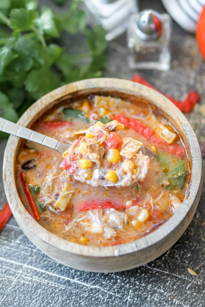 slow cooker chicken tortilla soup