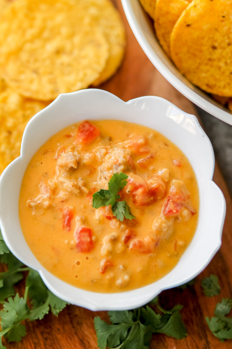 Slow Cooker Queso Dip